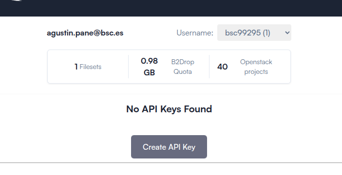 _Screenshot: API Keys Table_