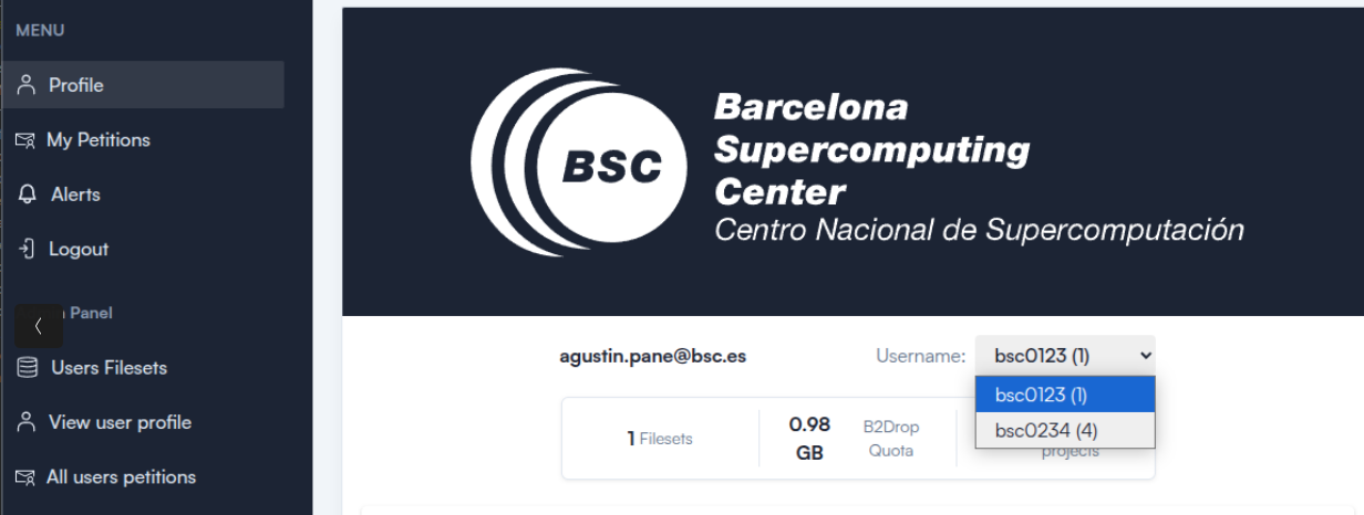 _Screenshot: Profile with BSC Usernames_